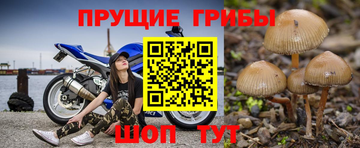 Галлюциногенные грибы Magic Shrooms  Вход с VPN  Новоуральск 